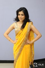 Gazal Somaiah at The End Movie Audio Launch